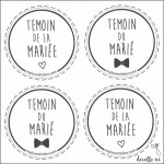 MINIS STICKERS TEMOIN