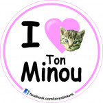 STICKER I LOVE TON MINOU