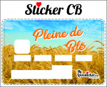 STICKER CARTE BLEUE PLEINE DE BLE